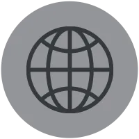 Globe icon